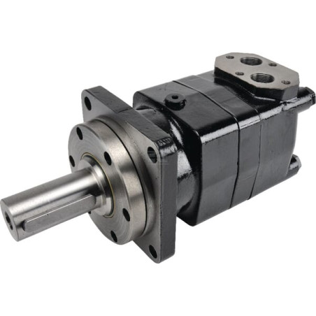 Moteur hydraulique BATTIONI PAGANI 5020400037