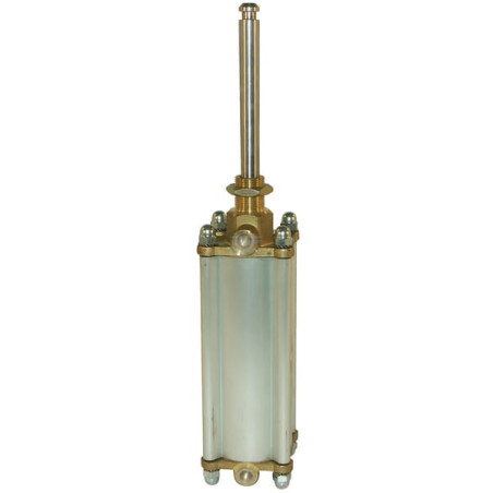 Vérin pneumatique MZ 5008200MZ