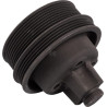 Poulie CNH 504321899