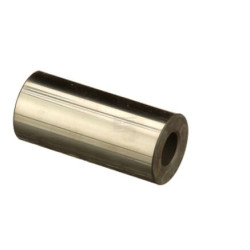 Axe de piston FPT 504310404FPT