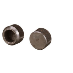 Bouchon de valve FPT 504387777FPT