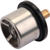 Thermostat CASE IH 504096443