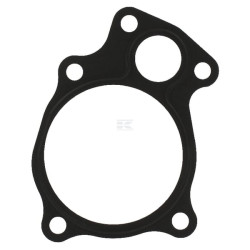 Joint de thermostat CASE IH 504045785