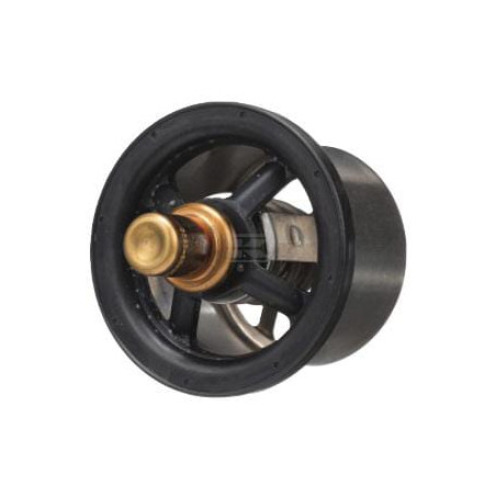 Thermostat FPT 504096443FPT