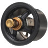 Thermostat FPT 504096443FPT