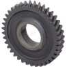 Pignon RAICO 5104175N