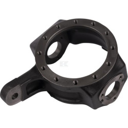 Pivot d'essieu RAICO 5127196N