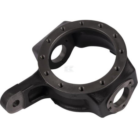 Pivot d'essieu RAICO 5127196N