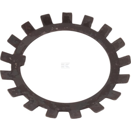 Rondelle CNH 5130602