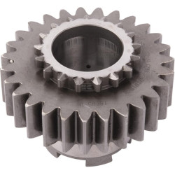 Engrenage CNH 5125013