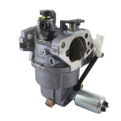 Carburateur MTD 793-00170