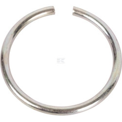 Bague CNH 5197066