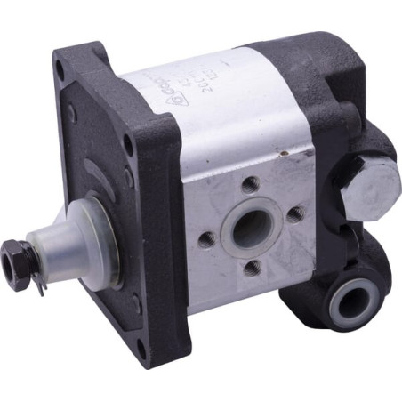 Pompe RAICO 5180269N