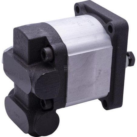 Pompe RAICO 5180269N