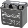 Batterie HUSQVARNA 532436551