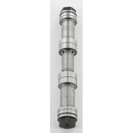 Piston TRIOLIET-MULLOS 53532