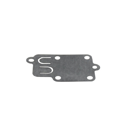 Membrane BRIGGS ET STRATTON 270026
