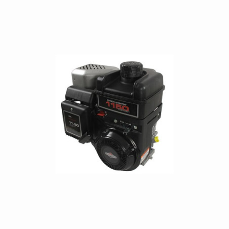 Moteur complet BRIGGS ET STRATTON 245cc 1150 series INTEK OHV