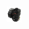 Moteur complet BRIGGS ET STRATTON 245cc 1150 series INTEK OHV