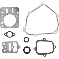 Kit BRIGGS & STRATTON 555631