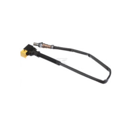 Sonde de température FPT 5802392179FPT