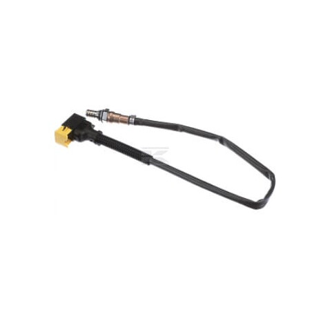 Sonde de température FPT 5802392179FPT
