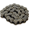 Chaîne à rouleaux BRIGGS & STRATTON 579868MA
