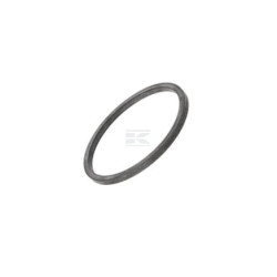 Bague d'étanchéité FPT 5802455380FPT