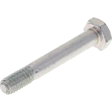 Vis BRIGGS & STRATTON 577015MA