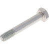 Vis BRIGGS & STRATTON 577015MA