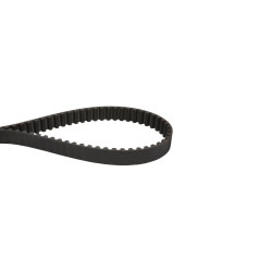 Courroie crantée 1773600 - 1764995 - GW1773600 - GW1764995