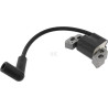 Bobine d'allumage BRIGGS & STRATTON 595291