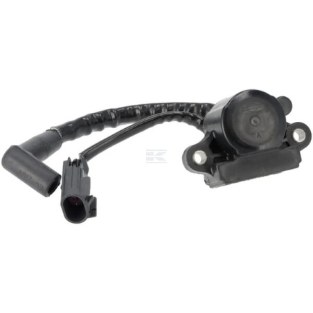 Bobine d'allumage BRIGGS & STRATTON 593856