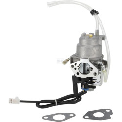 Carburateur BRIGGS & STRATTON 596108