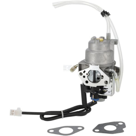 Carburateur BRIGGS & STRATTON 596108