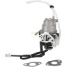 Carburateur BRIGGS & STRATTON 596108