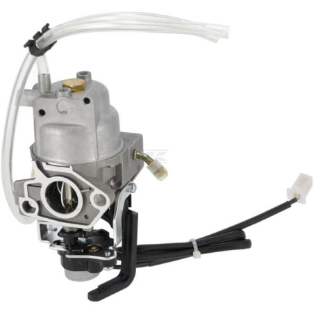Carburateur BRIGGS & STRATTON 596108
