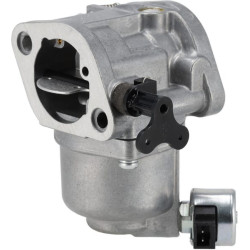 Carburateur BRIGGS & STRATTON 596102