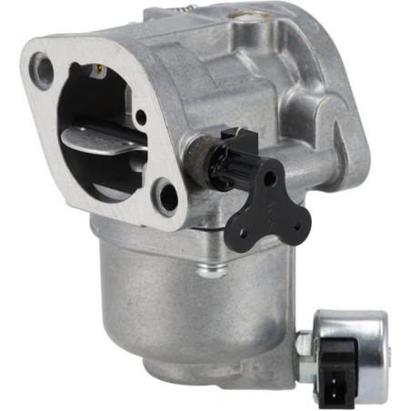 Carburateur BRIGGS & STRATTON 596102