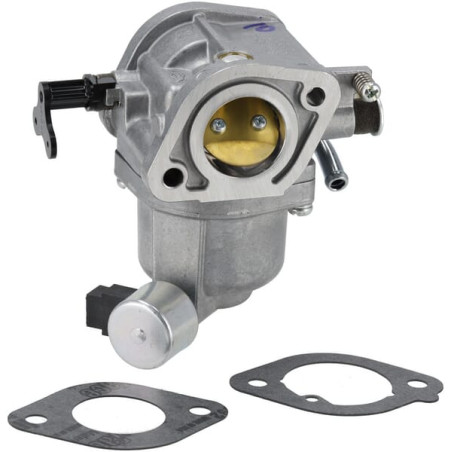Carburateur BRIGGS & STRATTON 596102