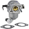 Carburateur BRIGGS & STRATTON 596102