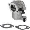 Carburateur BRIGGS & STRATTON 596033