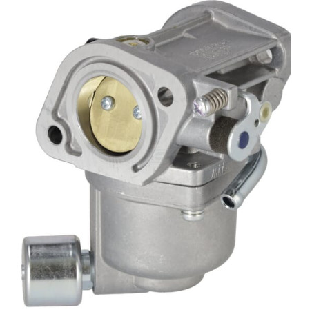 Carburateur BRIGGS & STRATTON 596033