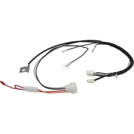 Faisceau de câble BRIGGS & STRATTON 597204