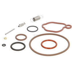 Kit BRIGGS & STRATTON 594636