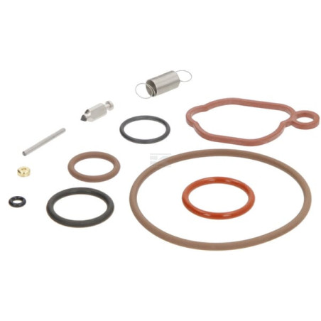 Kit BRIGGS & STRATTON 594636