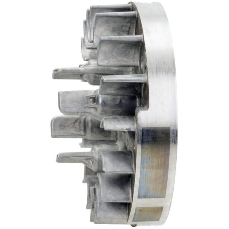 Volant BRIGGS & STRATTON 597504