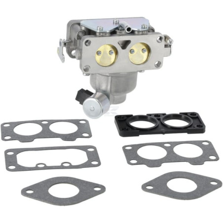 Carburateur BRIGGS & STRATTON 595759
