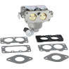 Carburateur BRIGGS & STRATTON 595759