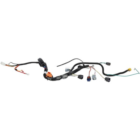Faisceau de câble BRIGGS & STRATTON 593866